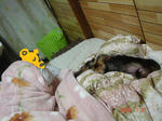 DSC05202.JPG