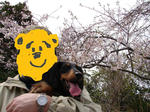 DSC01474.JPG