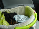 DSC05247.JPG