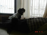 DSC05239.JPG