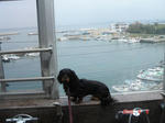 DSC05232.JPG