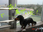 DSC05231.JPG