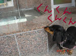 DSC05227.JPG