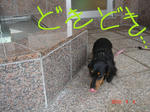 DSC05226.JPG