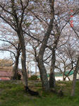 DSC05335.JPG
