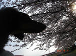DSC05342.JPG