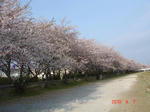 DSC05354.JPG