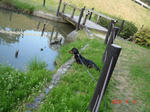 DSC05383.JPG