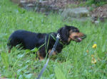 DSC05389.JPG