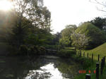 DSC05376.JPG