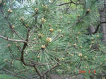 DSC05385.JPG