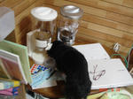 DSC05442.JPG