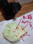 DSC05441.JPG