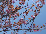 DSC05504.JPG
