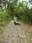 DSC05548.JPG