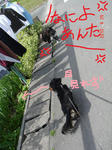 DSC05551.JPG