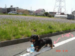 DSC05553.JPG