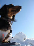DSC05682.JPG