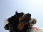 DSC05716.JPG