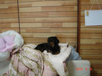 DSC05772.JPG
