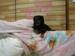 DSC05787.JPG