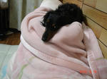 DSC05797.JPG