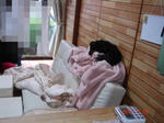 DSC05804.JPG