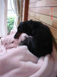 DSC05805.JPG