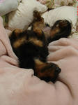 DSC05781.JPG