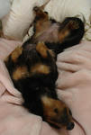 DSC05782.JPG