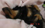 DSC05783.JPG