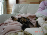 DSC05785.JPG