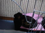 DSC05790.JPG