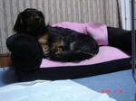DSC05794.JPG