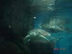 DSC05824.JPG