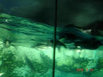 DSC05831.JPG