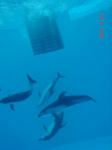 DSC05840.JPG