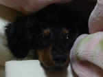 DSC05813.JPG