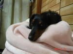 DSC05800.JPG