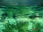 DSC05832.JPG