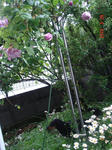 DSC05847.JPG