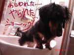 DSC05859.JPG