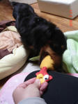 DSC05871.JPG