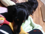 DSC05867.JPG