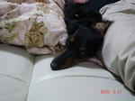 DSC05876.JPG