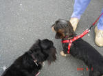 DSC05905.JPG