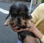 DSC05906.JPG