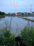 DSC05892.JPG