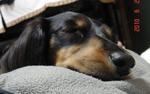 DSC05916.JPG