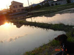 DSC05926.JPG